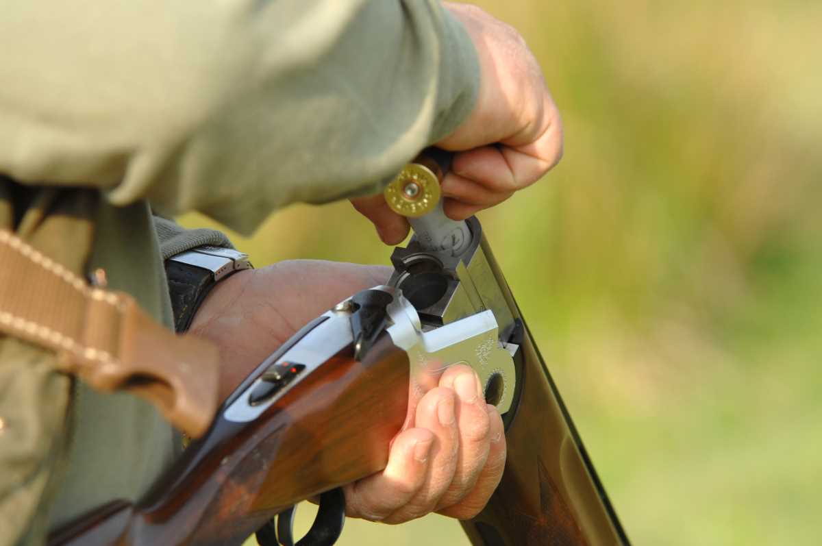 850€ d’amende et 5 ans d’interdictions de port d’arme pour chasse sans permis