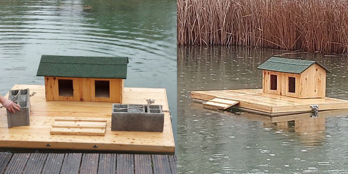 La ville de Grenoble installe des nichoirs pour « protéger les canards des intempéries »