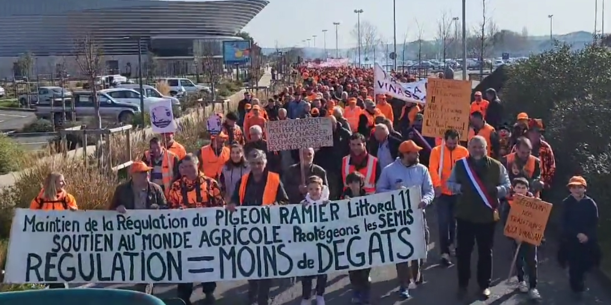 Près de 1000 personnes ont participé à la manifestation de Narbonne