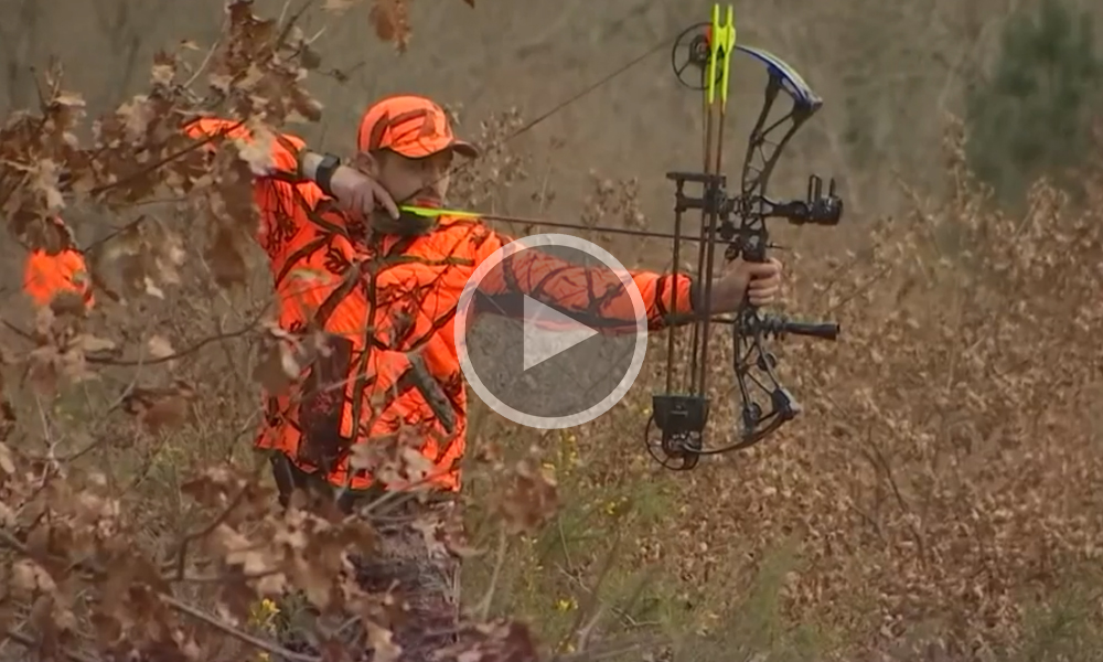 [Vidéo] Reportage : une battue dans les Landes avec des chasseurs à l’arc au 13h de TF1