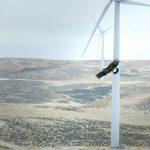 Hérault : la justice ordonne le démontage de sept éoliennes