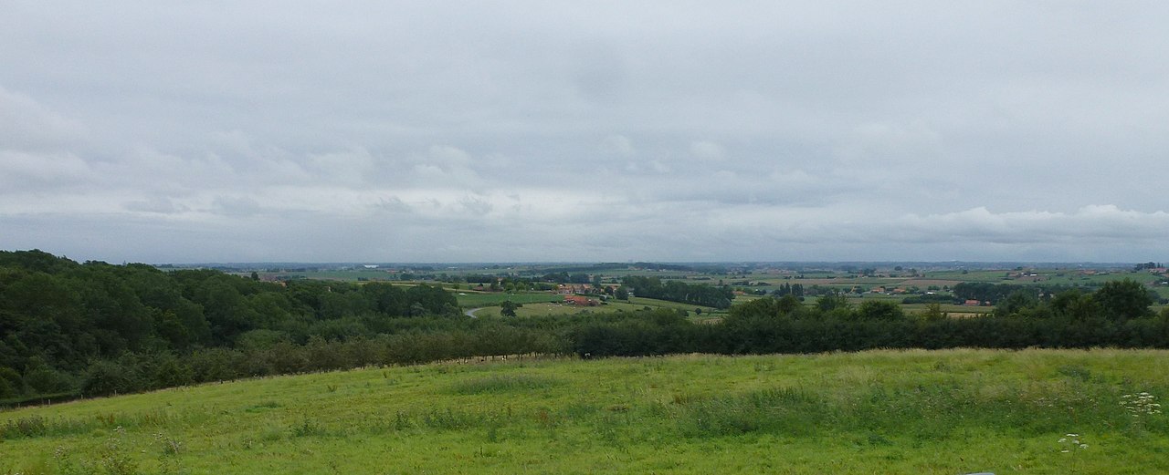 Le corps sans vie d’un chasseur découvert près d’un chevreuil