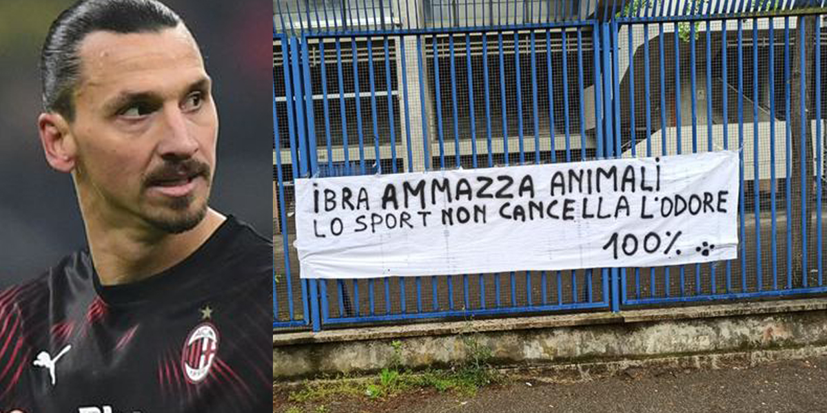 Des animalistes s’en prennent à Zlatan Ibrahimovic lors d’un match de foot en Italie