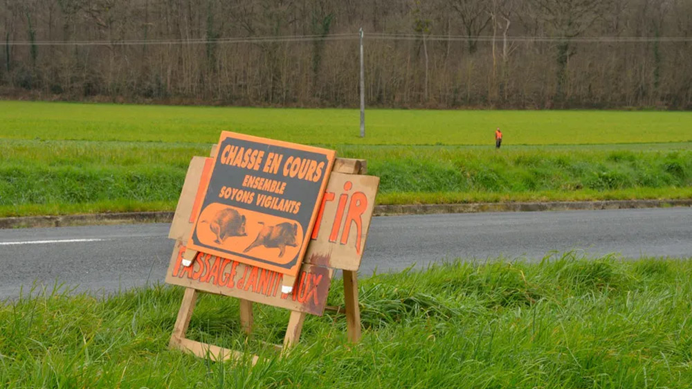 Un homme condamné à payer 1000€ pour avoir détruit des panneaux « chasse en cours »