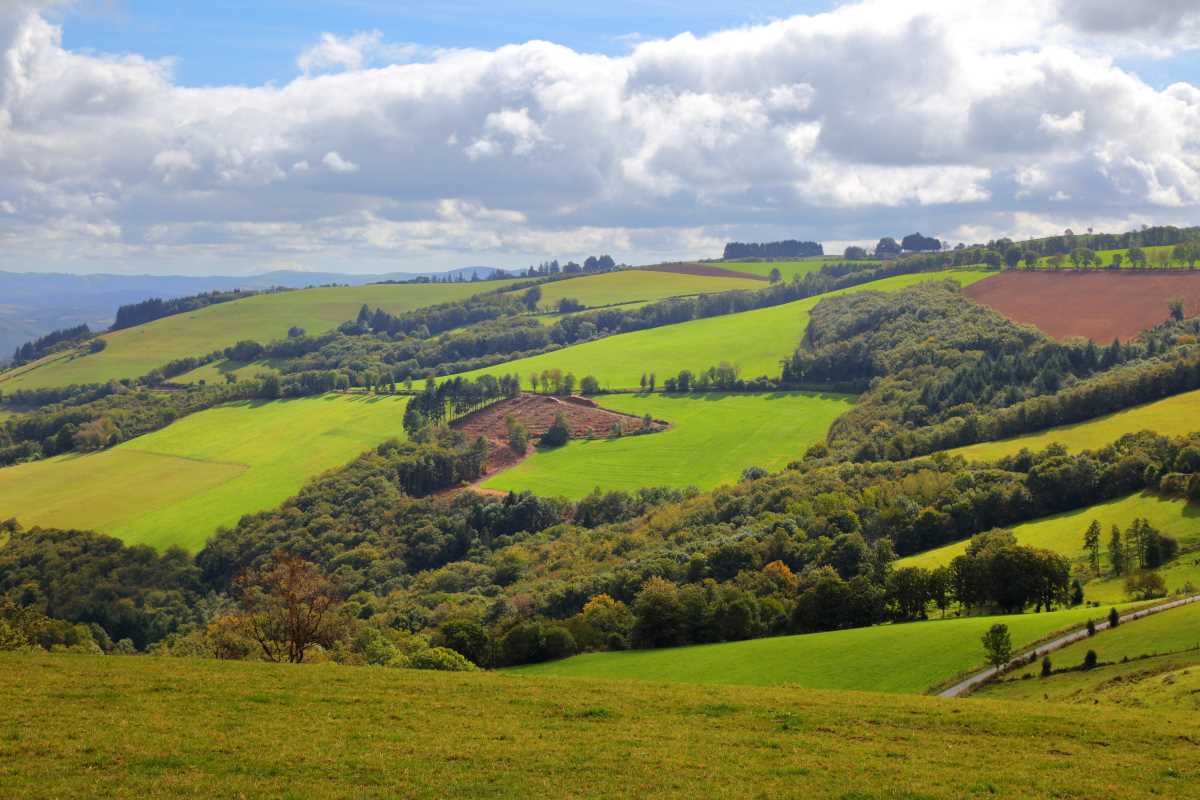 7 sociétés de chasse s’unissent pour chasser sur 7000ha dans le Lot et l’Aveyron