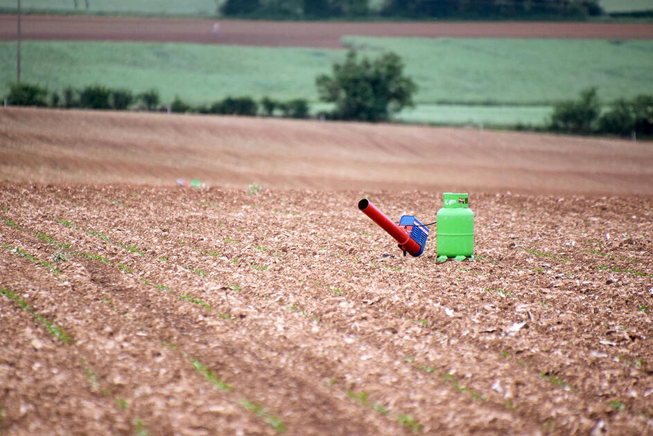 Un néo rural lance une pétition incroyable