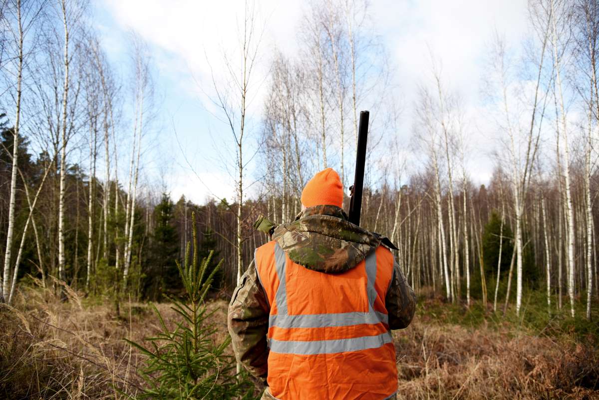 Incompréhension et colère des chasseurs du Gard qui ne peuvent plus accéder à leurs territoires