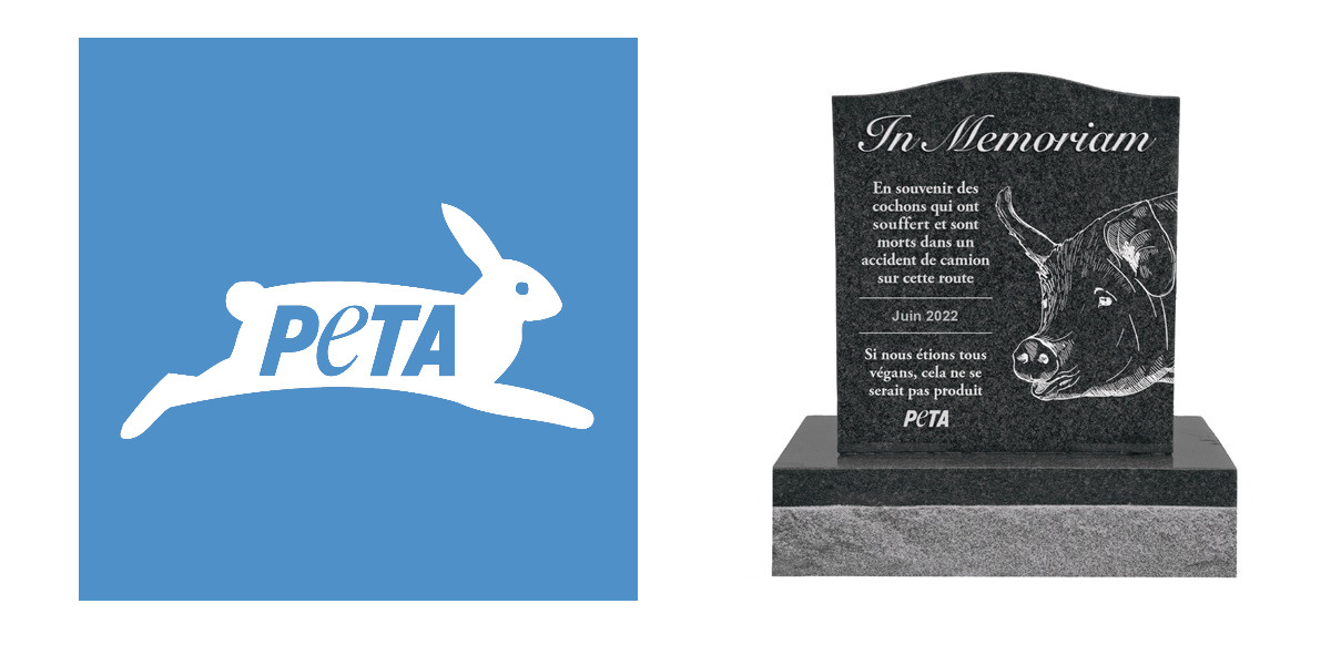 Peta demande qu’une stèle soit érigée suite à la mort de 120 cochons dans un accident