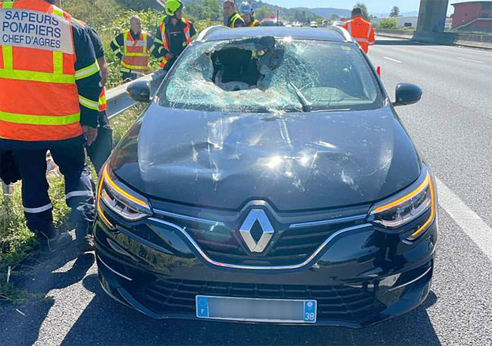 Un chevreuil traverse le pare-brise d’une voiture et fini sur le siège passager