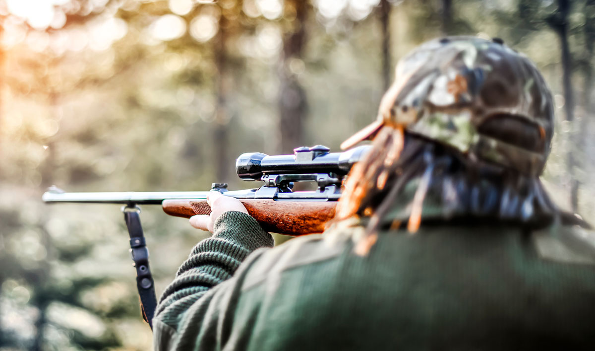 Un département propose 200 000€ pour réguler la faune, un premier pas vers la professionnalisation de la chasse ?