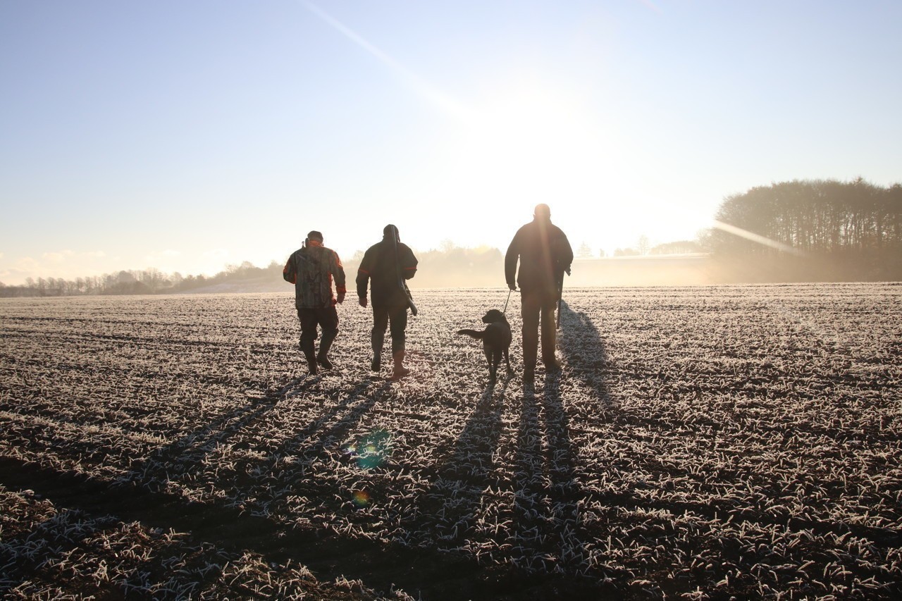 Les chasseurs du Tarn se mobilisent pour aider leurs collègues Landais