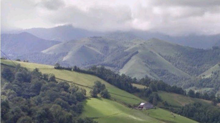 Une ACCA des Pyrénées-Atlantiques offre un territoire de chasse aux chasseurs Landais