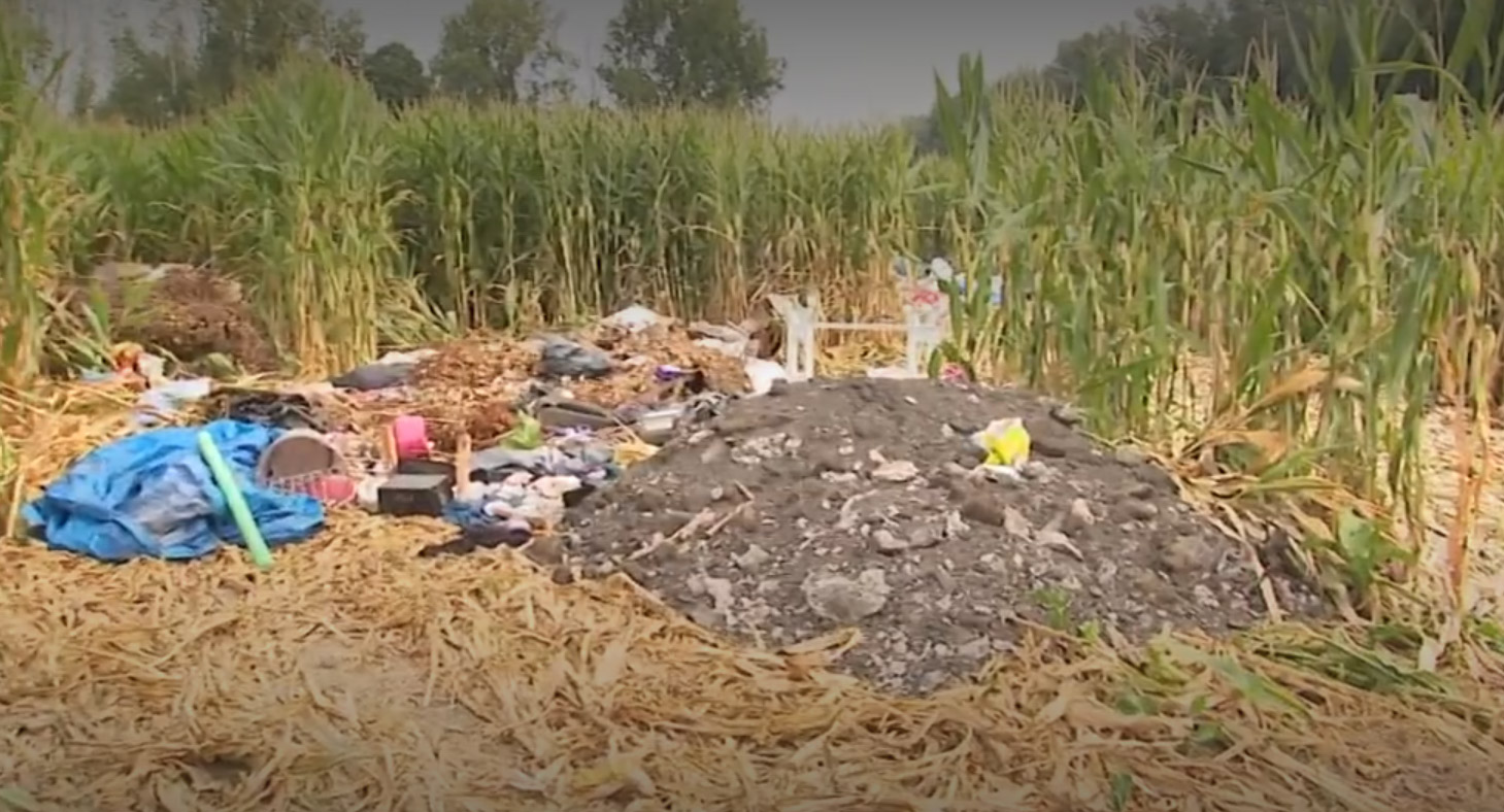 Un dépôt sauvage d’ordures au beau milieu d’un champ de maïs