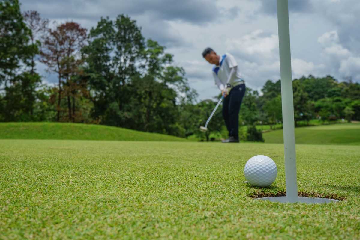 Un golf vandalisé par des activistes écologistes
