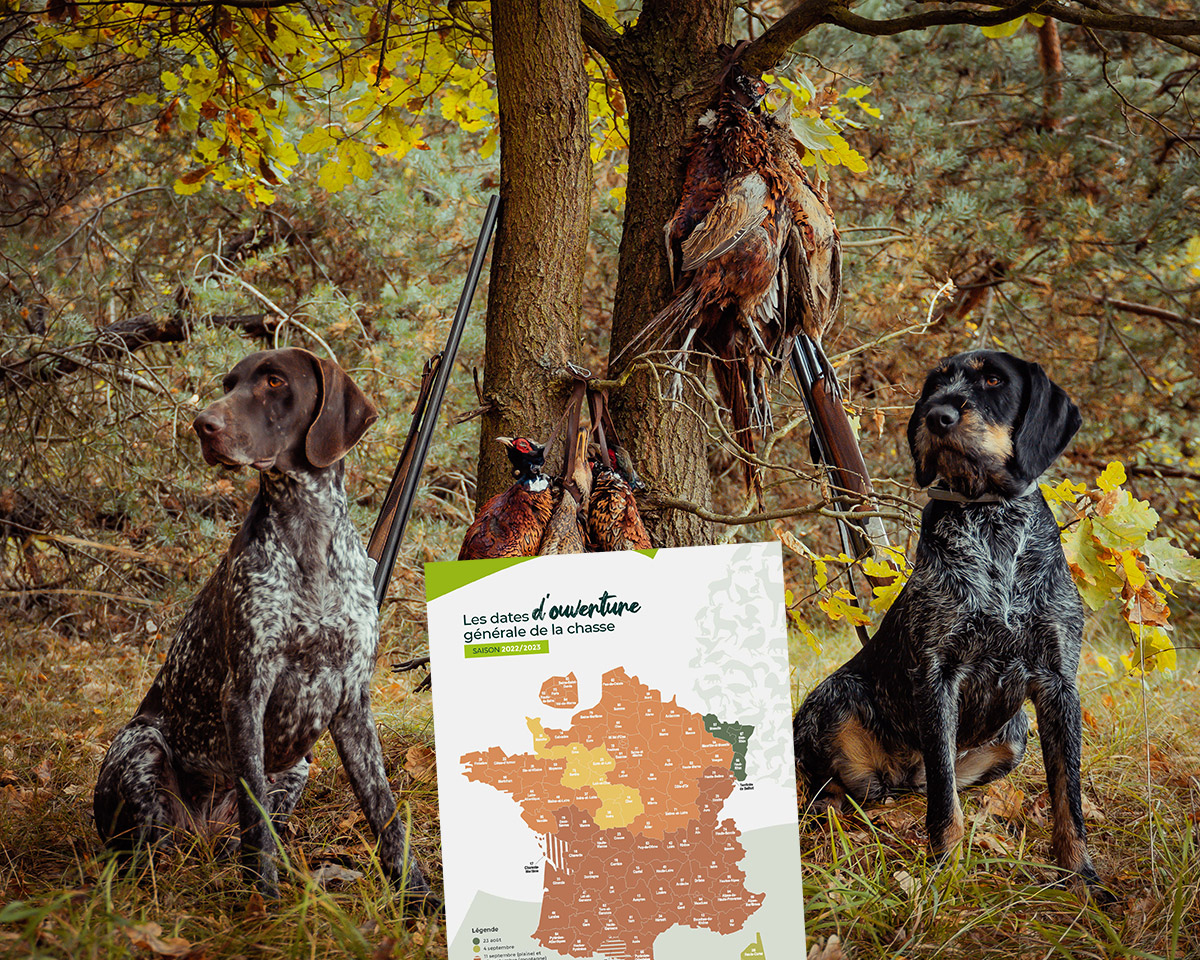 Saison de chasse 2022/2023 : toutes les dates d’ouverture par département