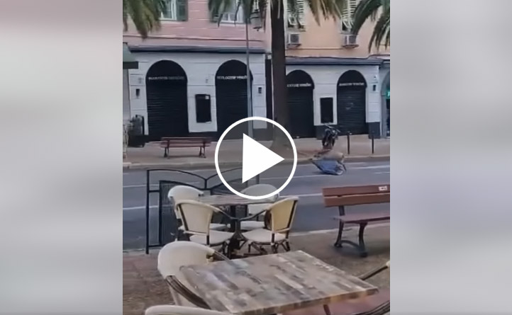[Vidéo] Un sanglier traine une poubelle en plein centre ville d’Ajaccio