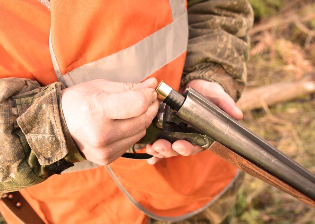 A chaud : voici les 30 propositions formulées par la mission de sécurisation de la chasse