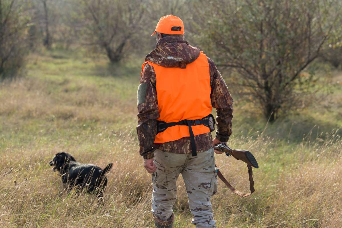 Nouvelle augmentation du prix du permis de chasse pour 2023