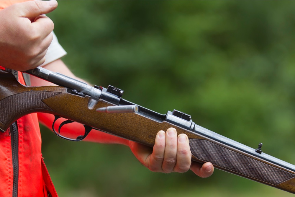 Chasse interdite pendant deux ans dans le massif de la Montagnette dans les Bouches-du-Rhône