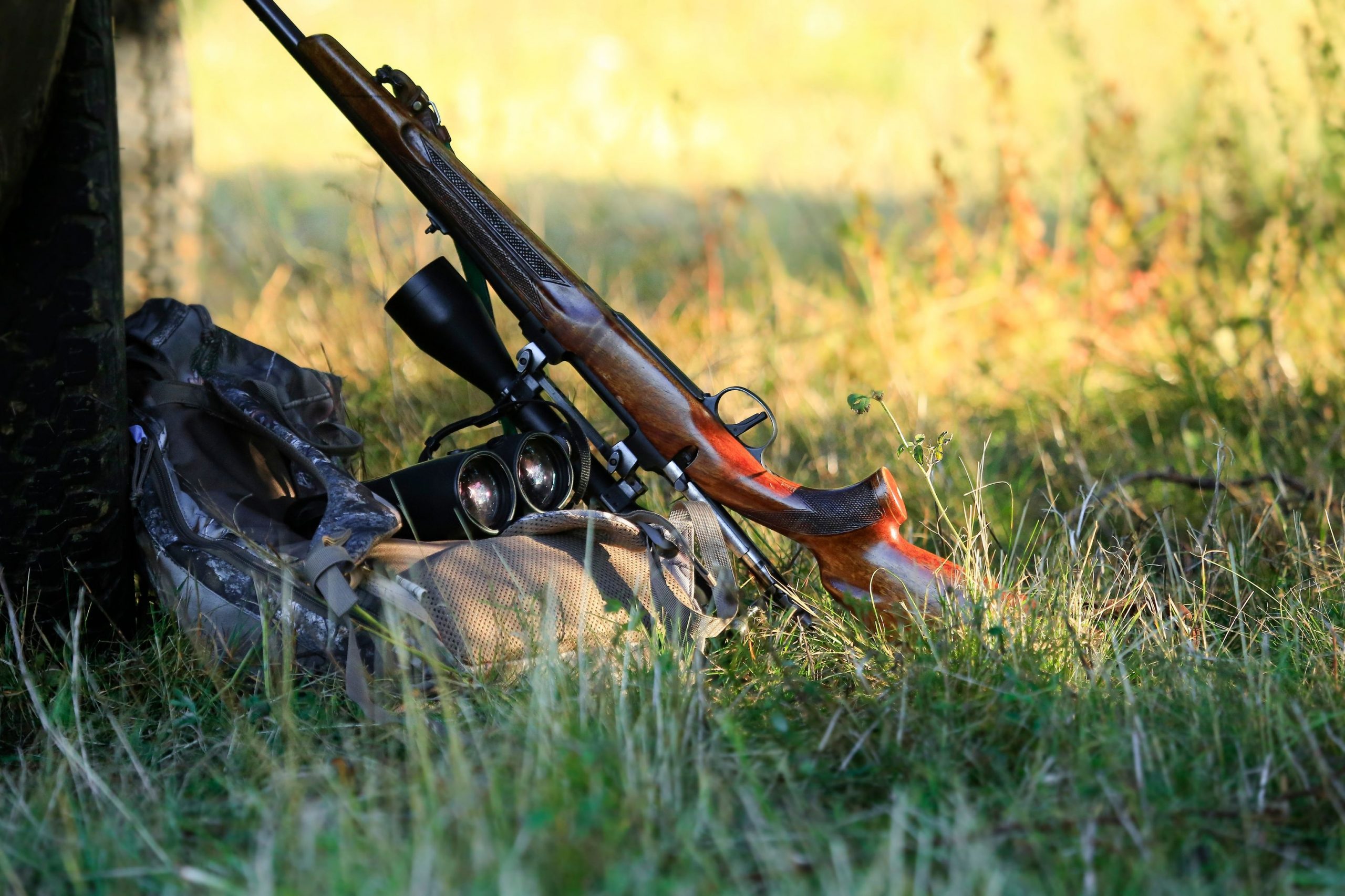 Gironde : les chasseurs de grand gibier organisent une journée de perfectionnement au tir à l’arme rayée