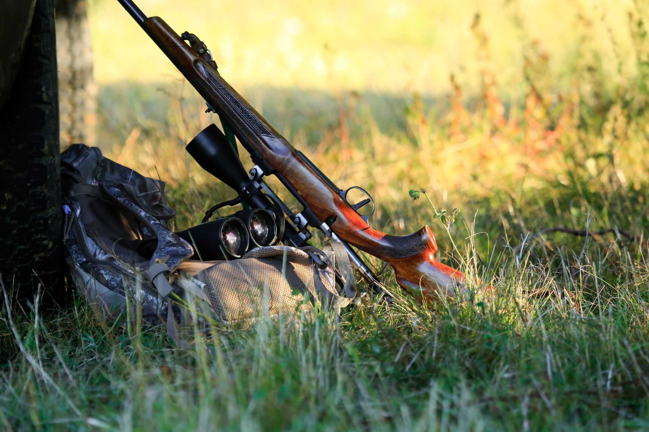 Doubs : deux sessions du permis de chasse remplies par les éleveurs