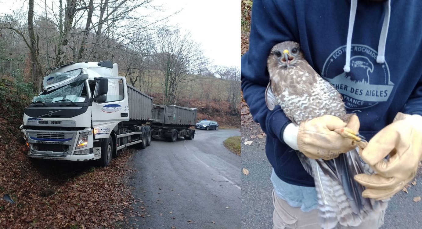 Un chauffeur routier perd son permis et plante son camion à cause d’une buse