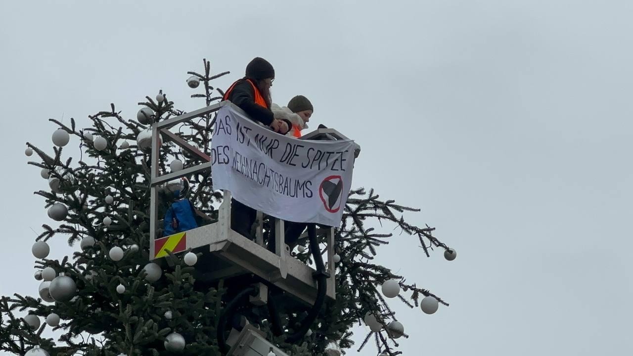 Des militantes écologistes décapitent un sapin de Noël pour sensibiliser à leur cause