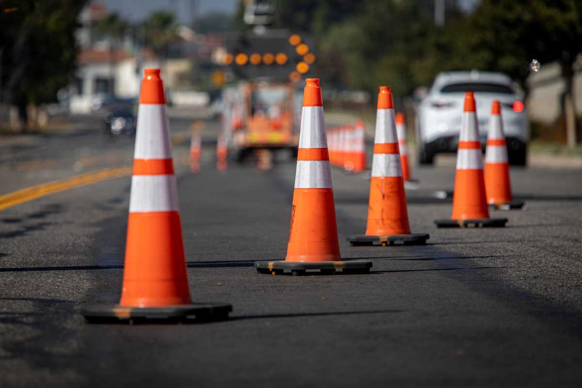 La RN116 sera coupée une partie de la nuit pour organiser une battue aux sangliers nocturne