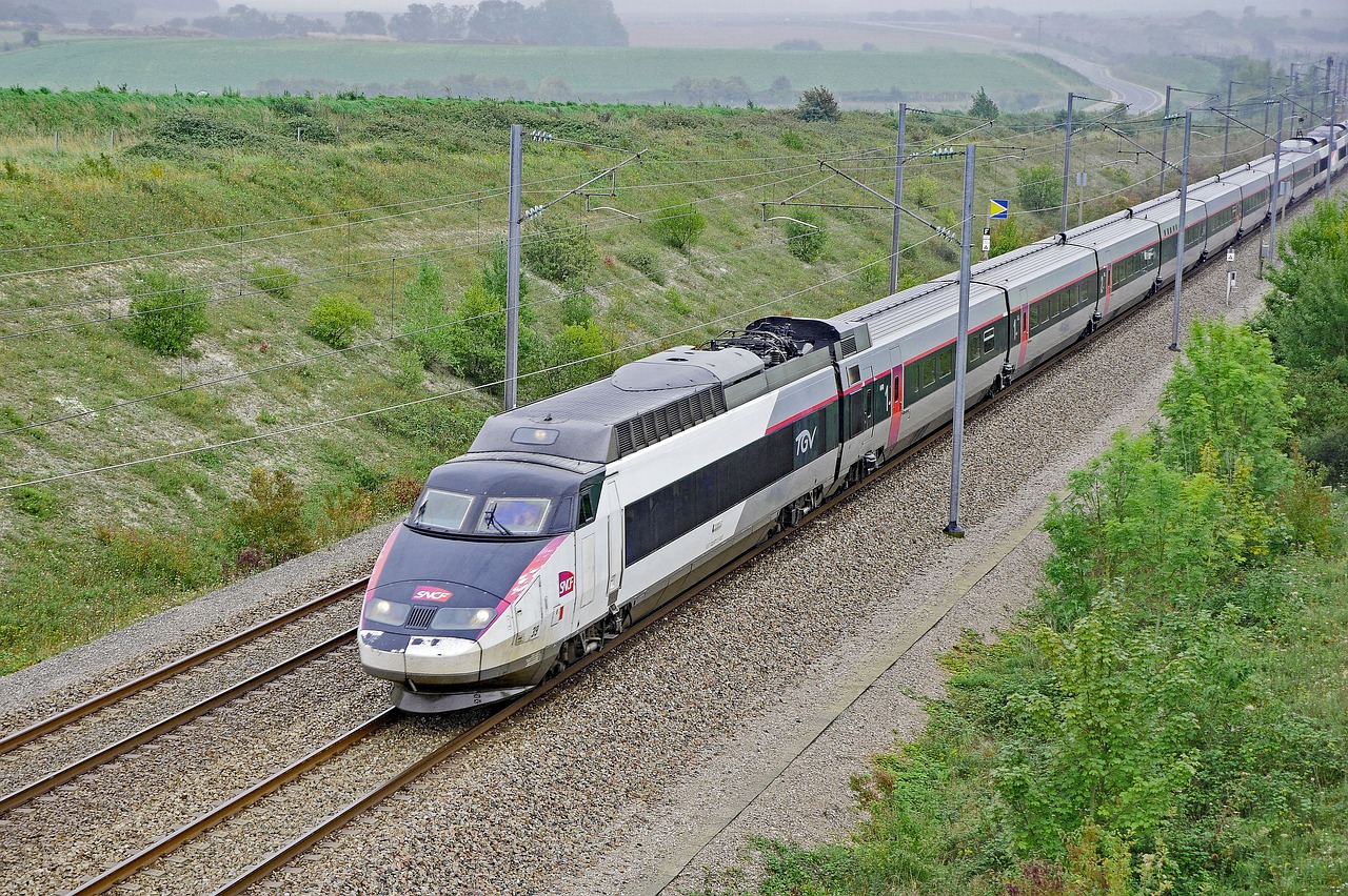 Un sanglier percute un TGV et provoque 6h de retard pour ses passagers