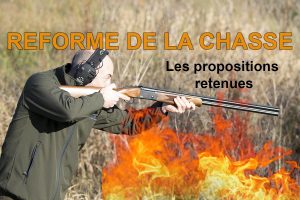 réforme de la chasse