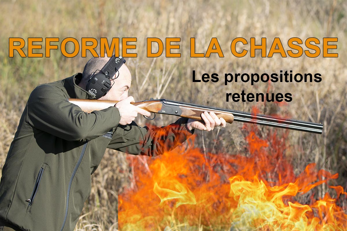 🚨 Alerte info : voici les nouvelles mesures concernant la chasse adoptées par le gouvernement