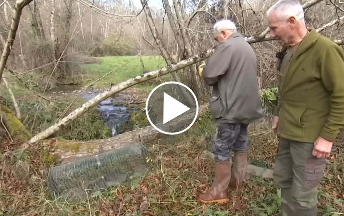 [Vidé] TF1 met à l’honneur les piègeurs agréés