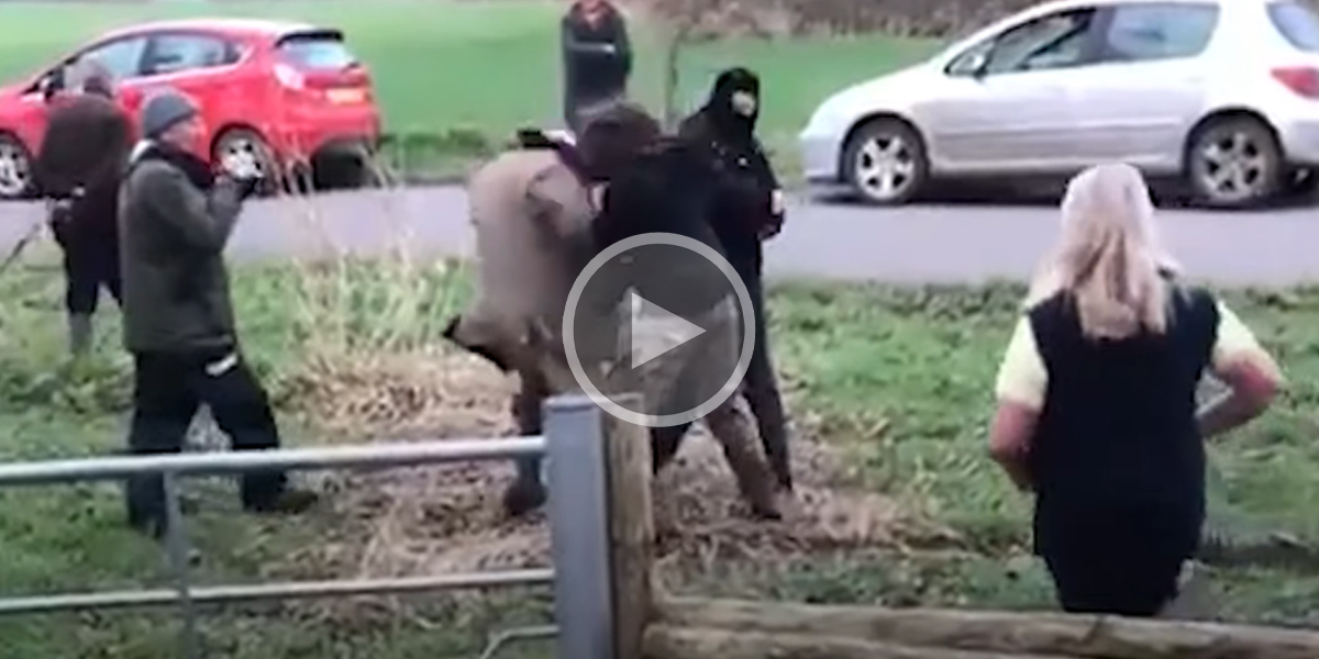 [Vidéo] Images choquantes : une anti-chasse frappe un chasseur retraité à la tête et l’insulte