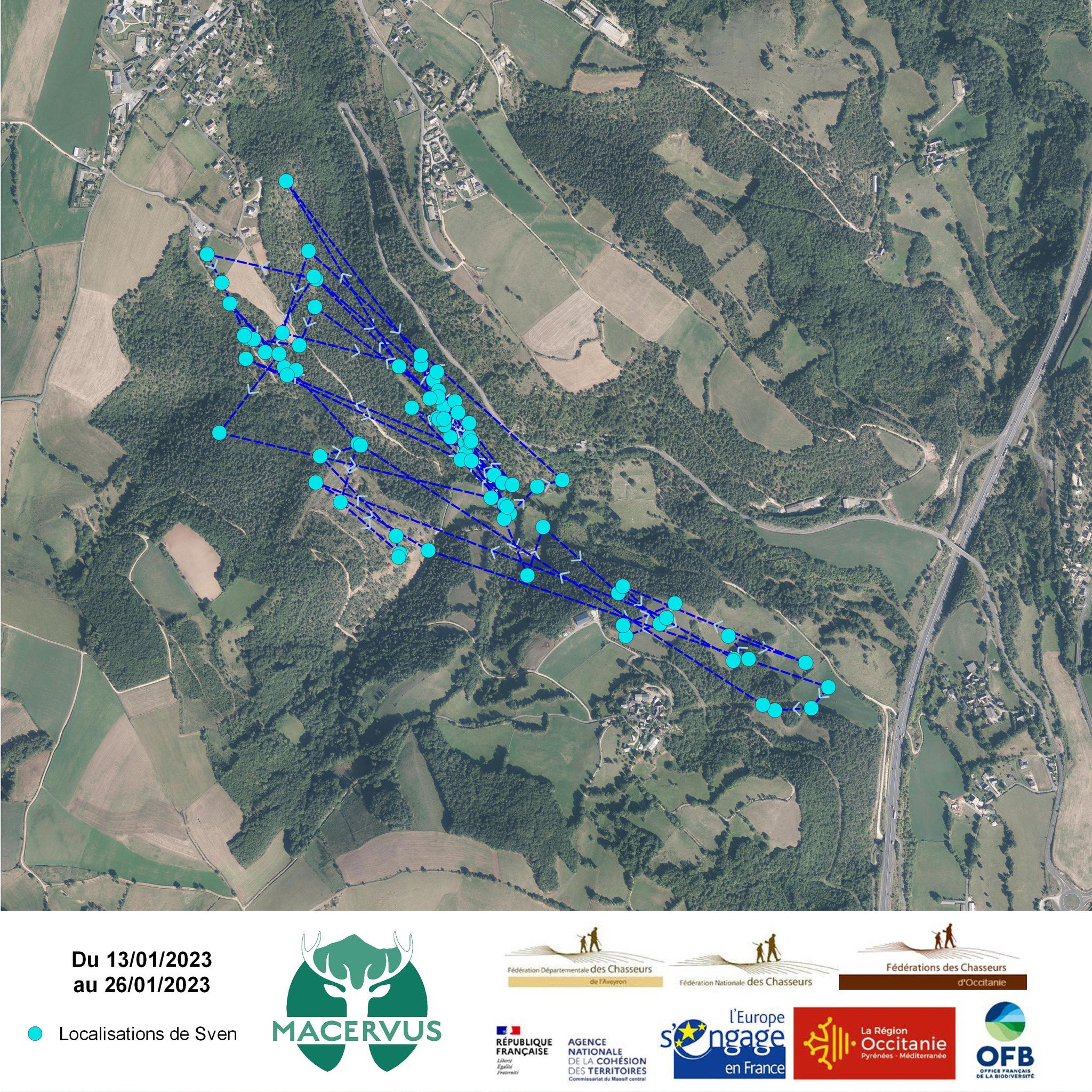 Aveyron : les cervidés suivis à l’aide de colliers GPS