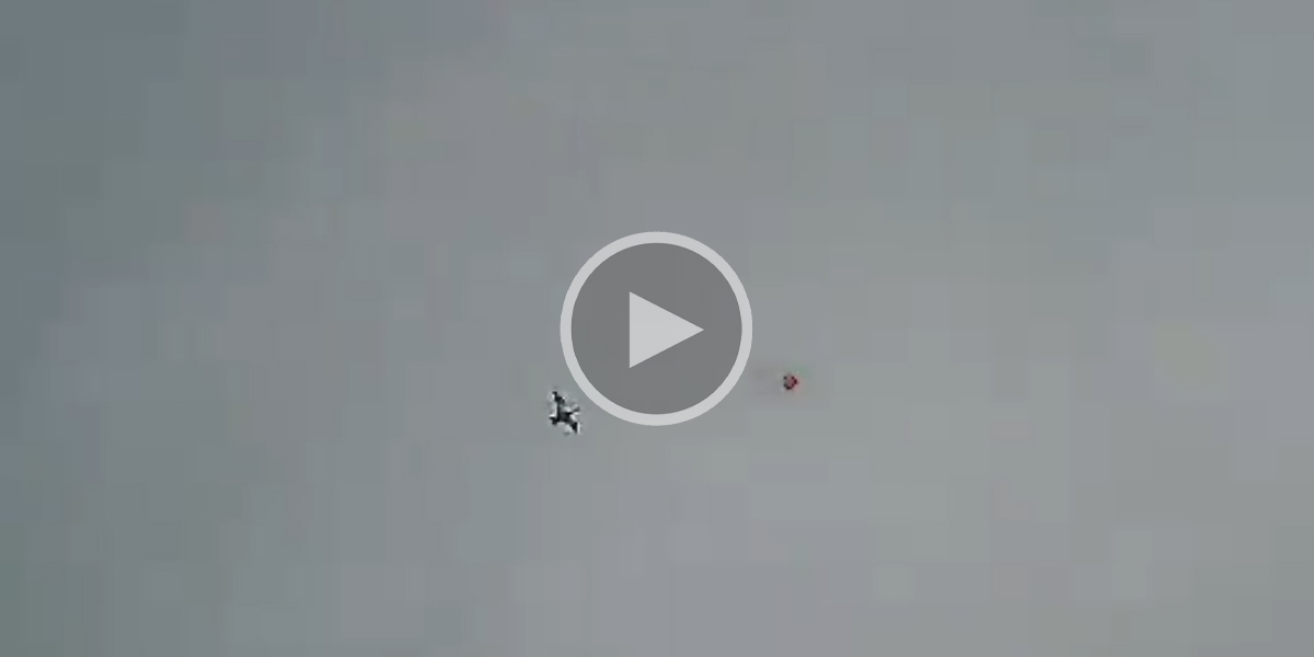 [Vidéo] Un canard prélevé à une hauteur impressionnante filmé en Shotkam