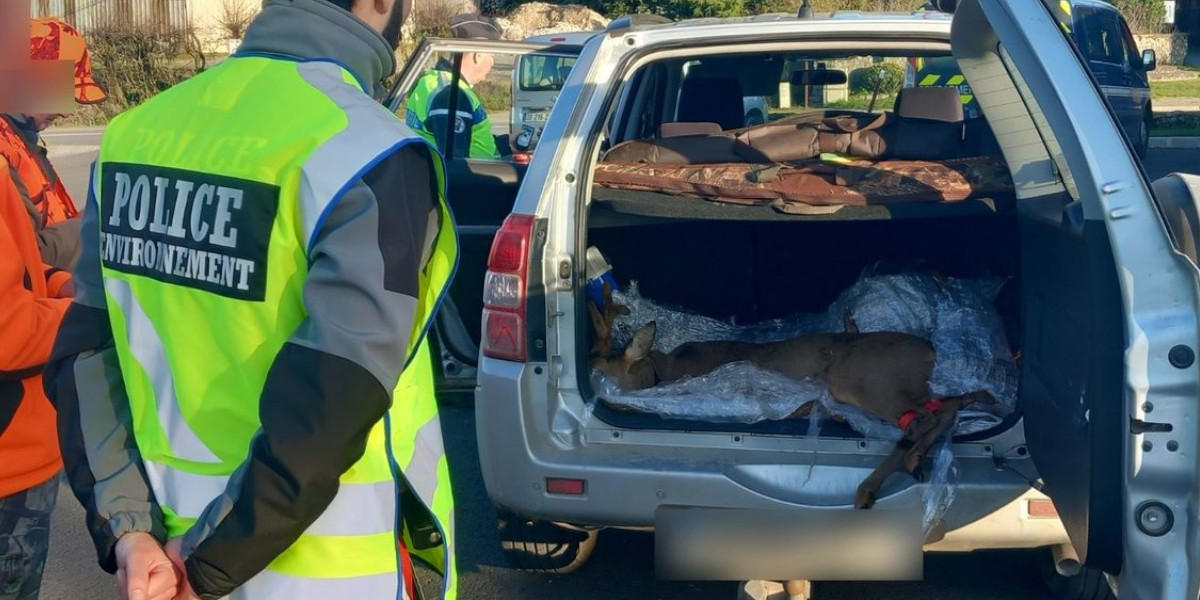 Mayenne : 137 véhicules de chasseurs contrôlés, aucune infraction constatée