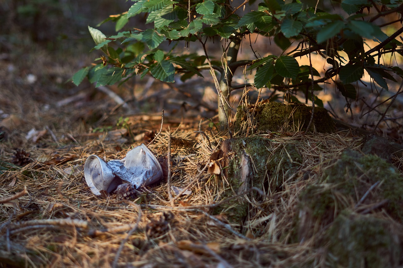 Les promeneurs, les chasseurs, les pêcheurs et les sports de nature rassemblés pour une opération de ramassage des déchets