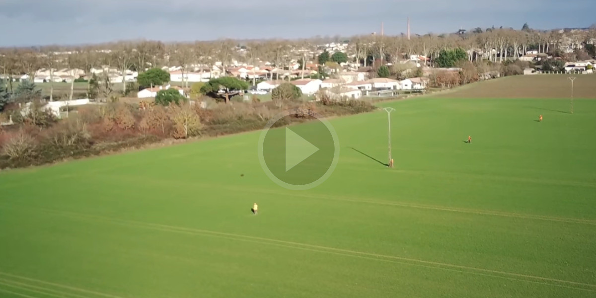[Vidéo] Un drone filme le tir d’un sanglier lors d’une battue