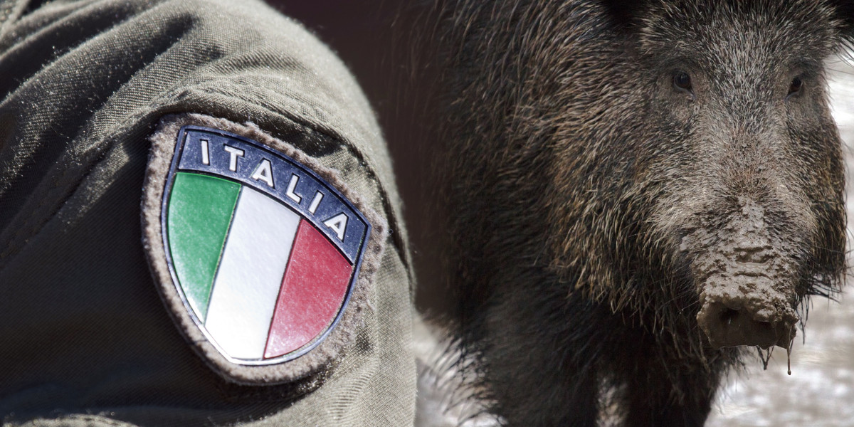 L’armée pourrait remplacer les chasseurs pour résoudre le problème des sangliers en Italie
