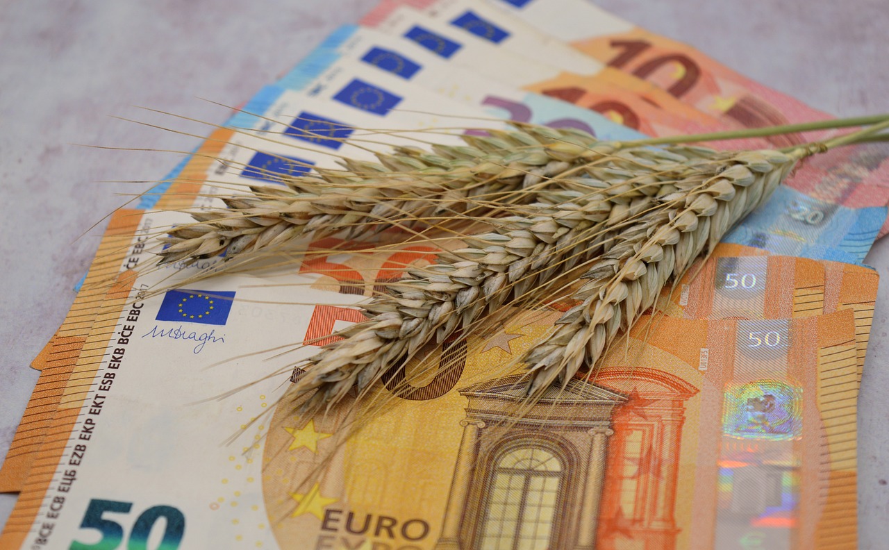 Les prix du blé et du maïs en chute libre suite à un afflux massif de céréales ukrainiennes