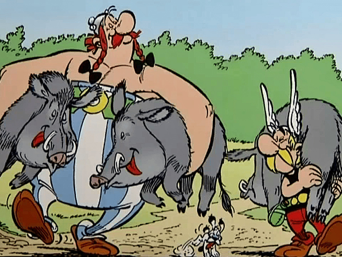 sanglier-maltraitance-animale-asterix-et