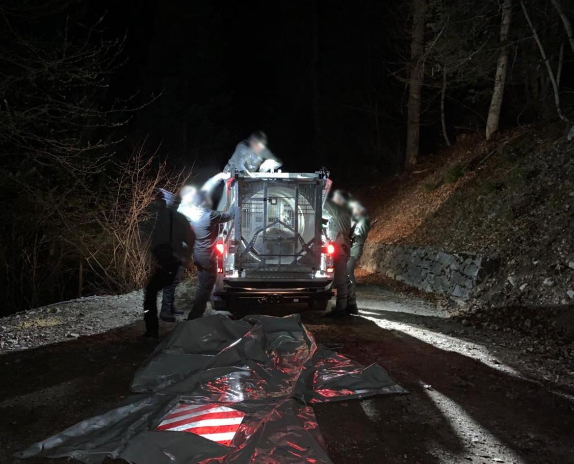 L’ours qui a tué un joggeur en Italie a finalement été capturé vivant