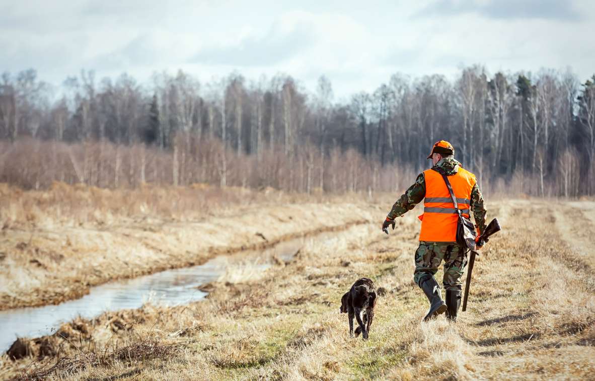 Dans le Var parrainer un ancien chasseur vous rapporte de l’argent