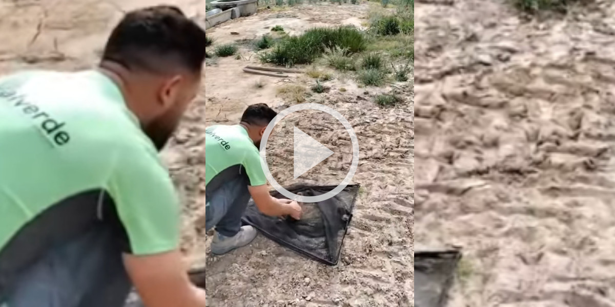[Vidéo] Des chasseurs sauvent un lièvre coincé dans un canal asséché