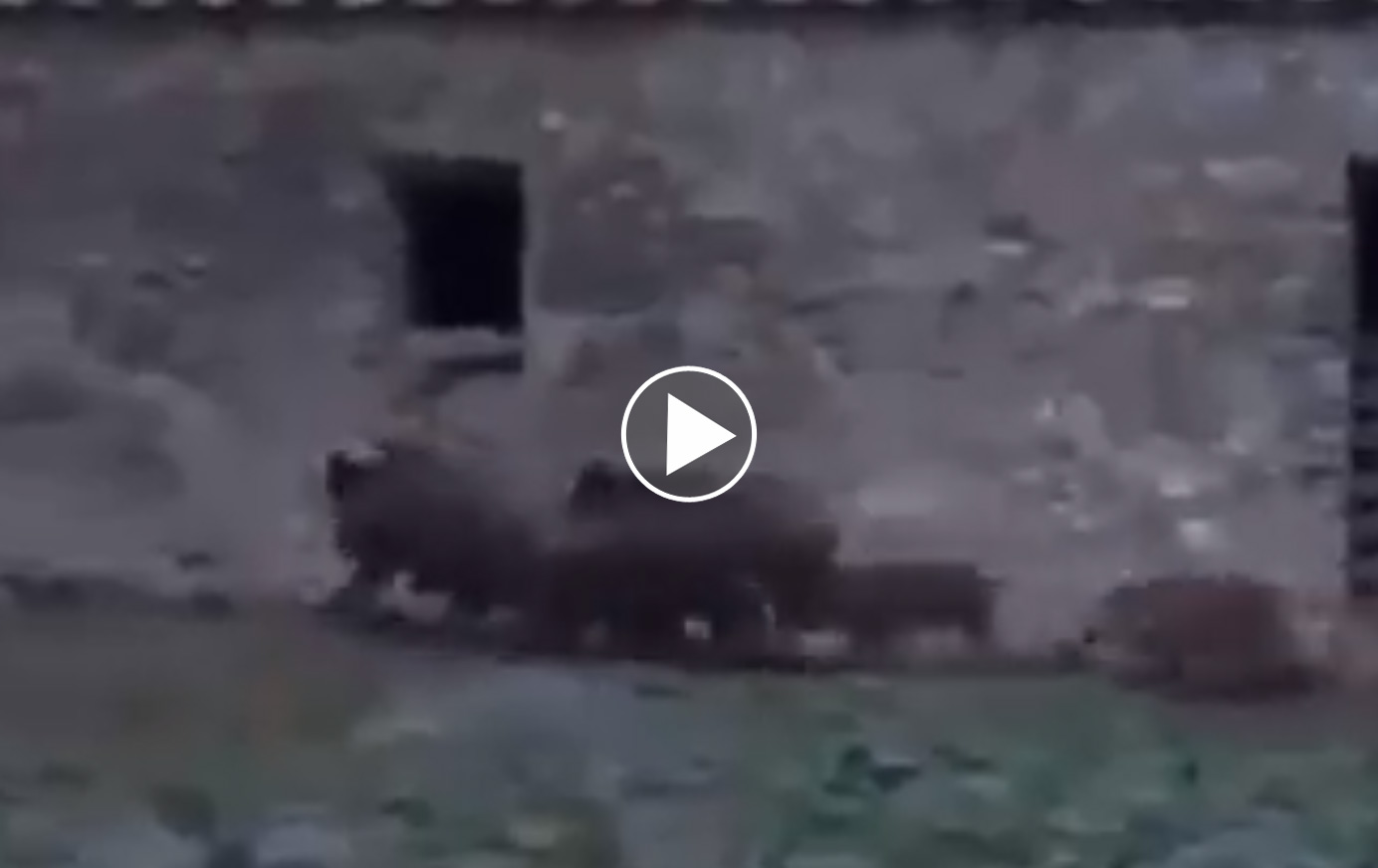 [Vidéo] Quand des sangliers entrent dans un bâtiment par la fenêtre