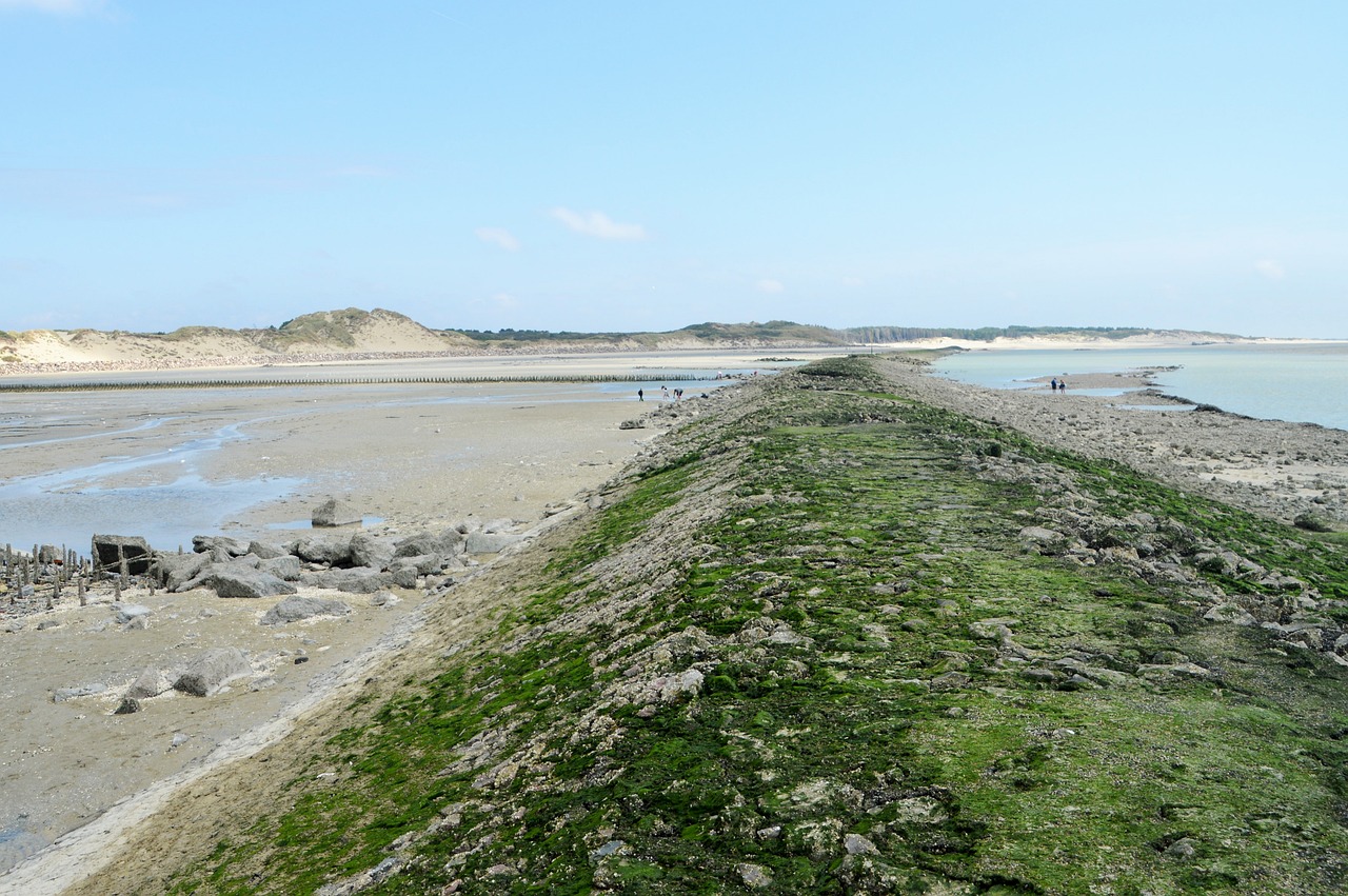 La pêche à pied encore une fois interdite en Baie d’Authie en pleine période de vacances