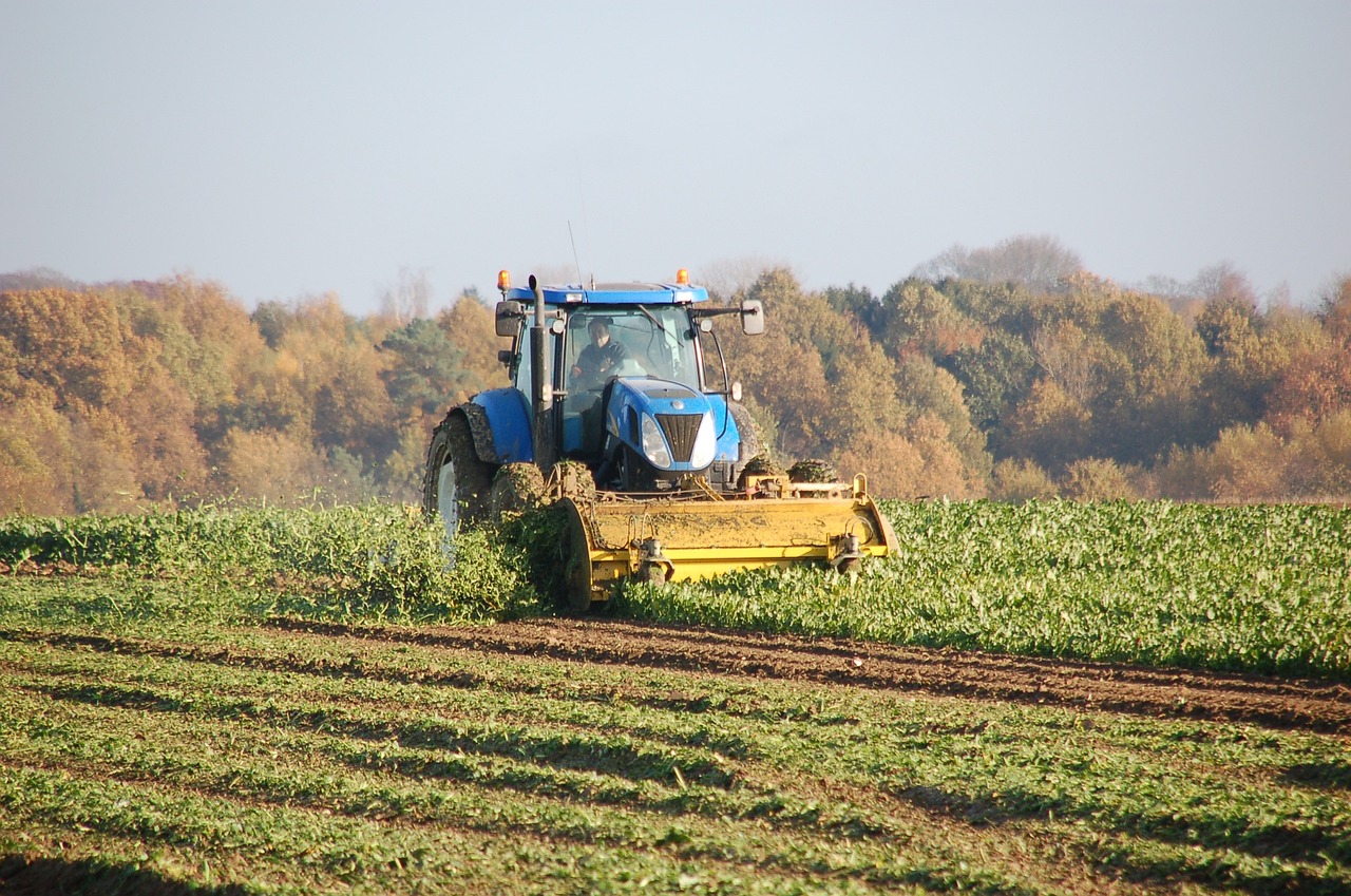 Les agriculteurs appelés à utiliser une application pour signaler les dégâts de gibier