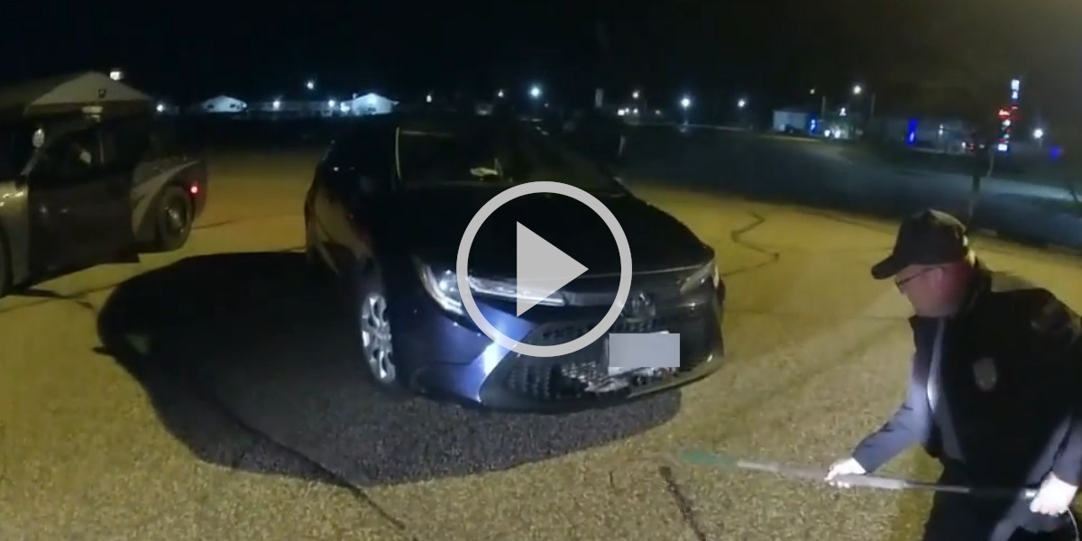 [Vidéo] Un lynx bloqué dans la calandre d’une voiture