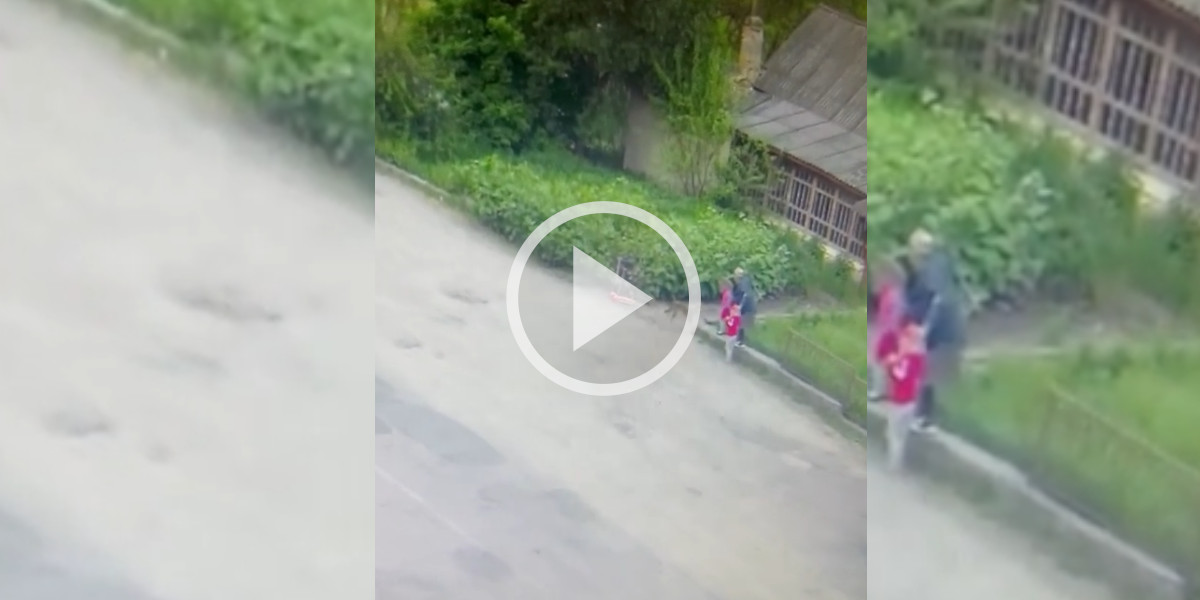 [Vidéo] Un renard attaque des enfants et leur grand-mère