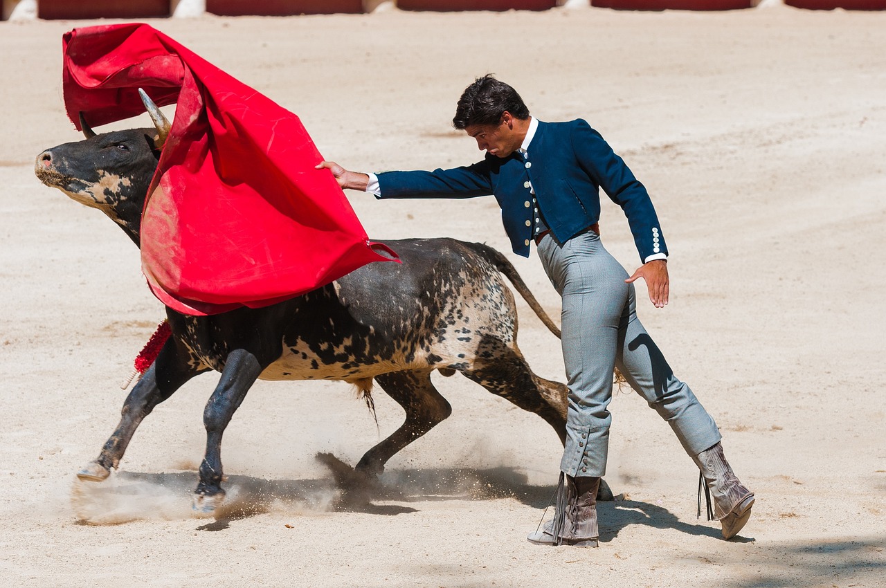 L’alliance anti-corrida s’offre un spot publicitaire à la télévision